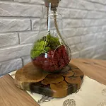 Przy Plazy 2, Marynarki Polskiej 57 * Ustka
