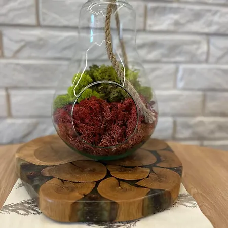 Daire Przy Plazy 2, Marynarki Polskiej 57 *