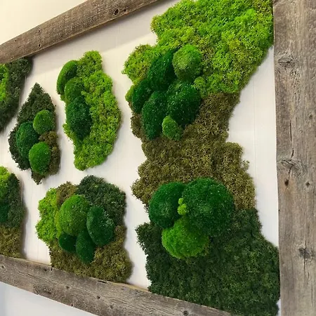 Przy Plazy 2, Marynarki Polskiej 57 * Ustka