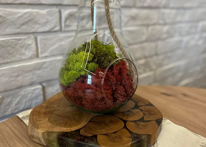 Przy Plazy 2, Marynarki Polskiej 57 * Ustka