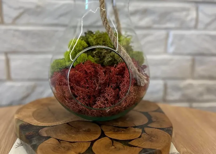 Appartamento Przy Plazy 2, Marynarki Polskiej 57 *