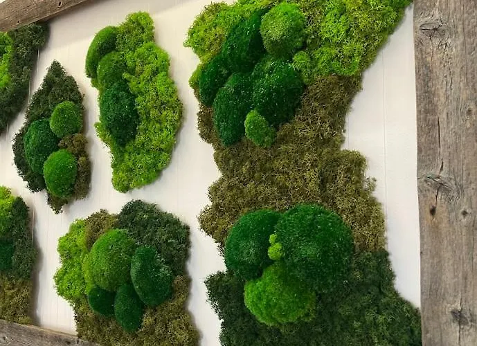 Przy Plazy 2, Marynarki Polskiej 57 * Ustka